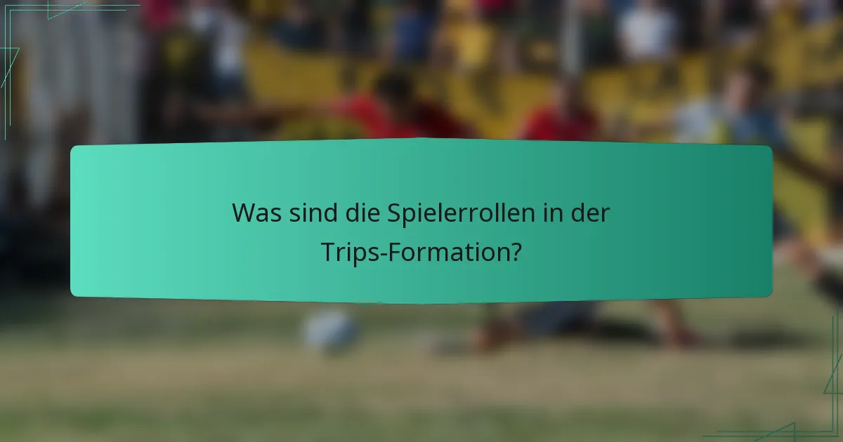 Was sind die Spielerrollen in der Trips-Formation?